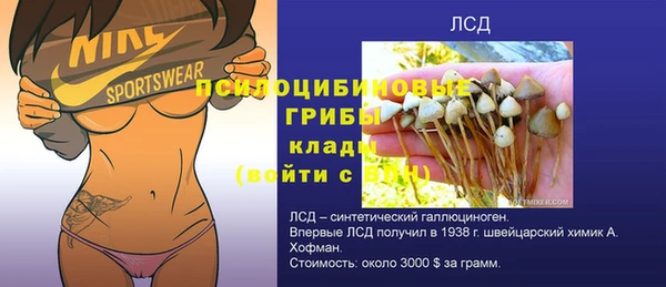 шишки Елизово