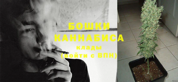 ГАЛЛЮЦИНОГЕННЫЕ ГРИБЫ Елабуга