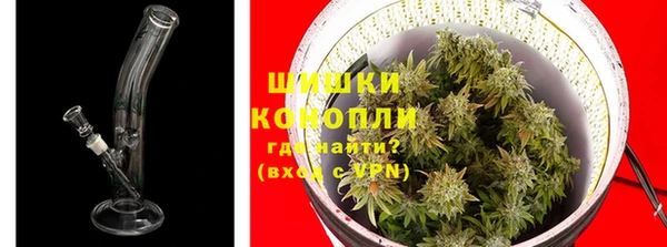 ГАЛЛЮЦИНОГЕННЫЕ ГРИБЫ Елабуга
