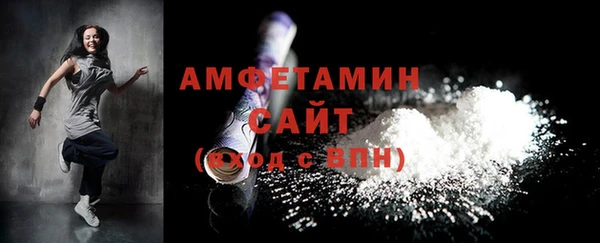 твердый Ельня