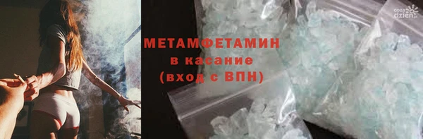 шишки Елизово