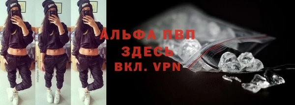 шишки Елизово