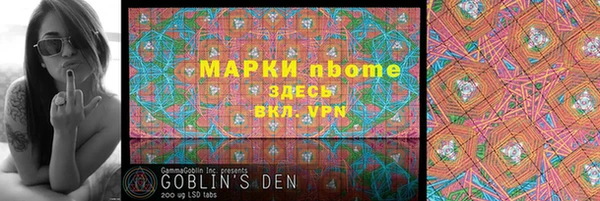 твердый Ельня