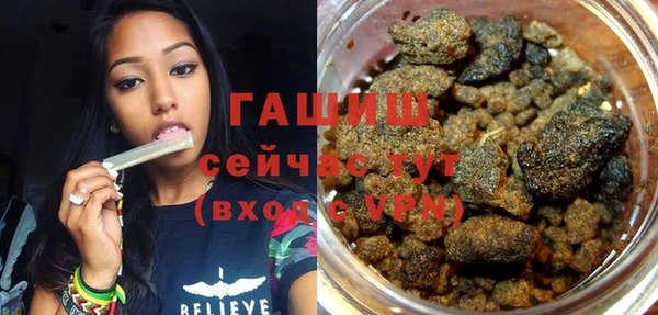шишки Елизово
