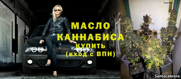 твердый Ельня