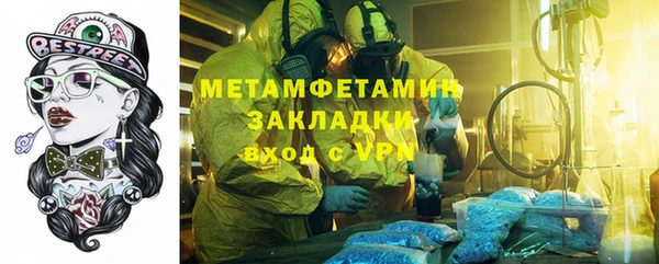 шишки Елизово