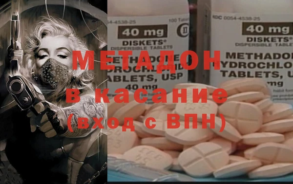 шишки Елизово