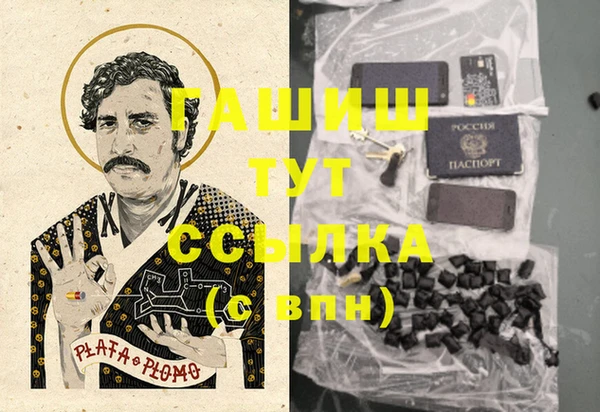 ГАЛЛЮЦИНОГЕННЫЕ ГРИБЫ Елабуга