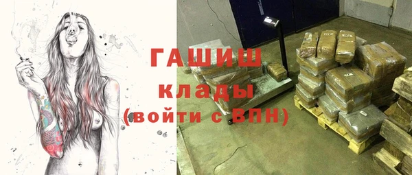твердый Ельня