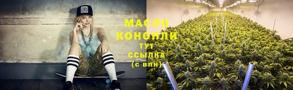 твердый Ельня