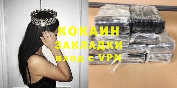 шишки Елизово