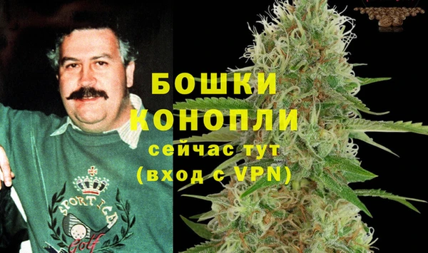 твердый Ельня