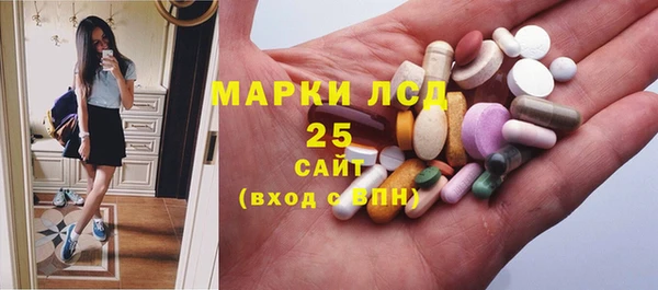 шишки Елизово