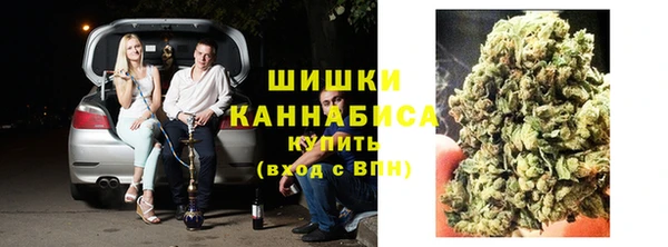 шишки Елизово