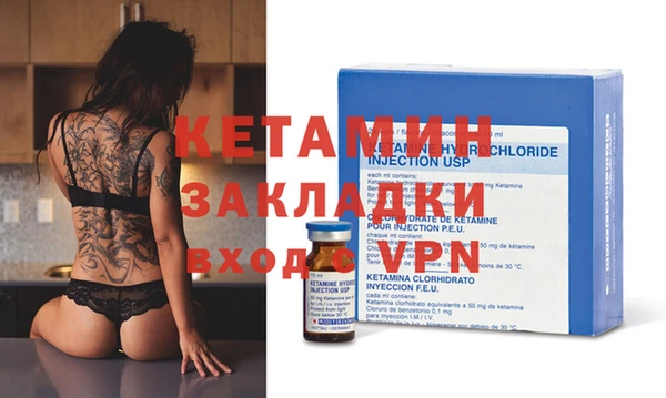 шишки Елизово